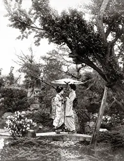 Geishas: Two geishas under a parasol, Japan, c.1890