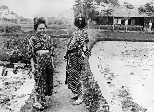 Flops: Geishas in ricefield, Japan