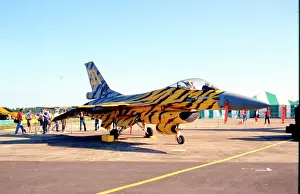Smaleen: General Dynamics F-16AM Fighting Falcon FA94