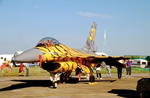 Smaleen: General Dynamics F-16AM Fighting Falcon FA94