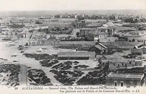Pharcide: General view on Alexandria, Egypt