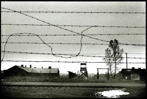 Morbid: General view Auschwitz-Birkenau