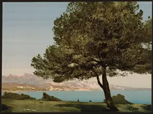Mentone: General view, Cap Martin, Mentone, Riviera