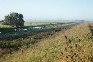 Fenland: General view of the landscape at Welches Dam