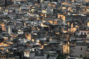 Marinid: Fez