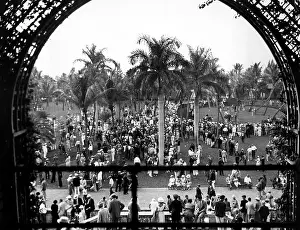 Hialeah: A general view of the Paddock at the Hialeah ?