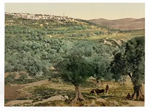 Samaria: General view, Samaria, Holy Land, (i.e. Sabastiyah, Israel)