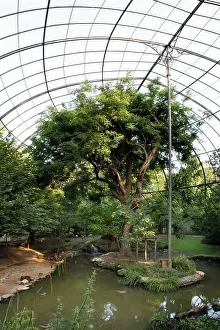Latticework: General view of trees and pond inside la grande
