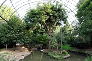 Latticework: General view of trees and pond inside la grande