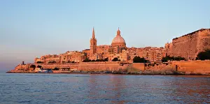 Scamp: Malta