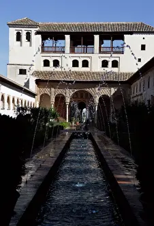 Arabesque: Generalife, Alhambra, Granada, Spain