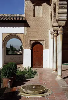 Arabesque: Generalife, Alhambra, Granada, Spain