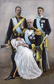 Skane: Four Generations of Swedish Royalty