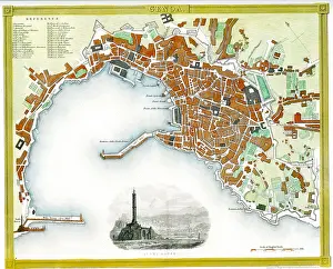Dower: Genoa