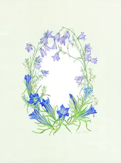 Harebells: Gentians, Harebells and White Heather