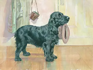 Hint: A Gentle Hint