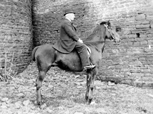 Stallion: Gentleman on horseback, Mid Wales