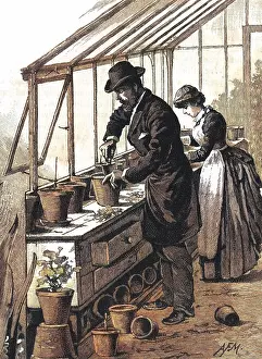 Potting: Gentleman potting a plant, c.1891