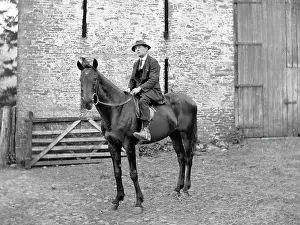 Stallion: Gentleman riding a stallion, Mid Wales