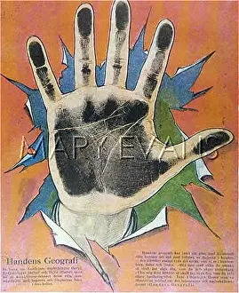 Palmistry: GEOGRAPHY OF THE HAND