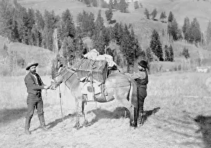 Fully: Geological expedition in the 19th Century in the U.S