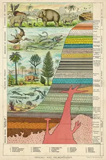 Schematic: Geological Strata - 19th century