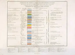 1817: Geological Table of British Organized Fossils