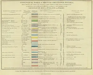 Geological: Geological table of British organized fossils