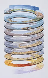 Timescale: Geological timescale