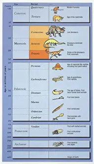 Timescale: Geological timetable