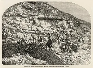 Geologists: GEOLOGISTS AT SWANAGE