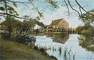 Floss: GEORGE ELIOT/ARBURY MILL