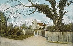 Coton: GEORGE ELIOT/CHILVERS CH