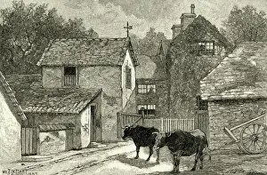 Novelists: GEORGE ELIOT/GRIFF HOUSE