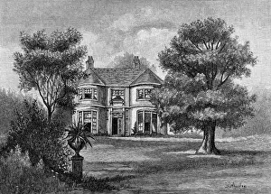 Novelists: GEORGE ELIOT/ROSEHILL