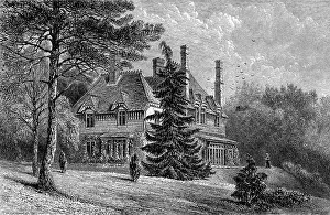 Eliot: GEORGE ELIOT/WITLEY