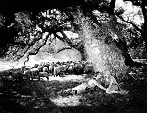 Noahs: George OBrien - Dolores Costello
