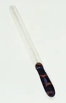 Opener: George Stephenson?s bone letter opener