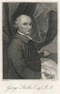 Chiefly: George Stubbs