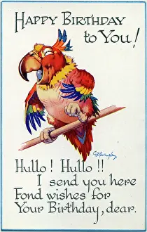 Parrots: George Studdy, birthday postcard