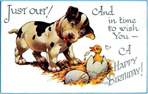 Chicks: George Studdy, birthday postcard