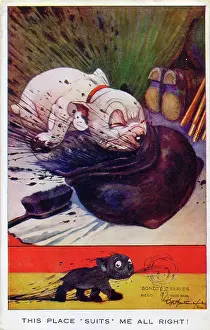 Sooty: George Studdy, Bonzo greetings postcard
