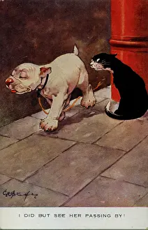 Friction: George Studdy, Bonzo greetings postcard