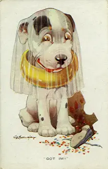 Studdy: George Studdy, Bonzo greetings postcard
