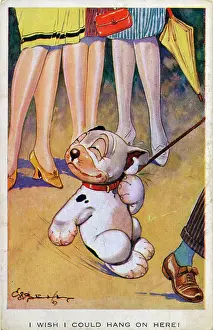 Dragged: George Studdy, Bonzo postcard