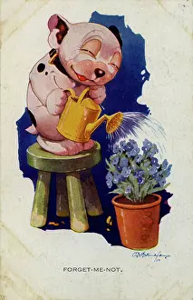 Forget: George Studdy, Bonzo postcard