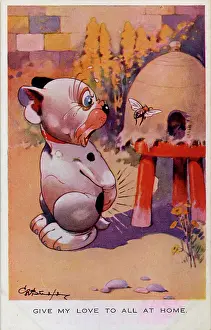 Stung: George Studdy, Bonzo postcard