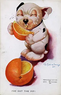 Studdy: George Studdy, Bonzo postcard