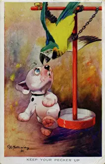 Parrots: George Studdy, Bonzo postcard