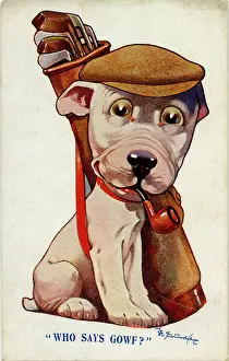 Golfing: George Studdy greetings postcard